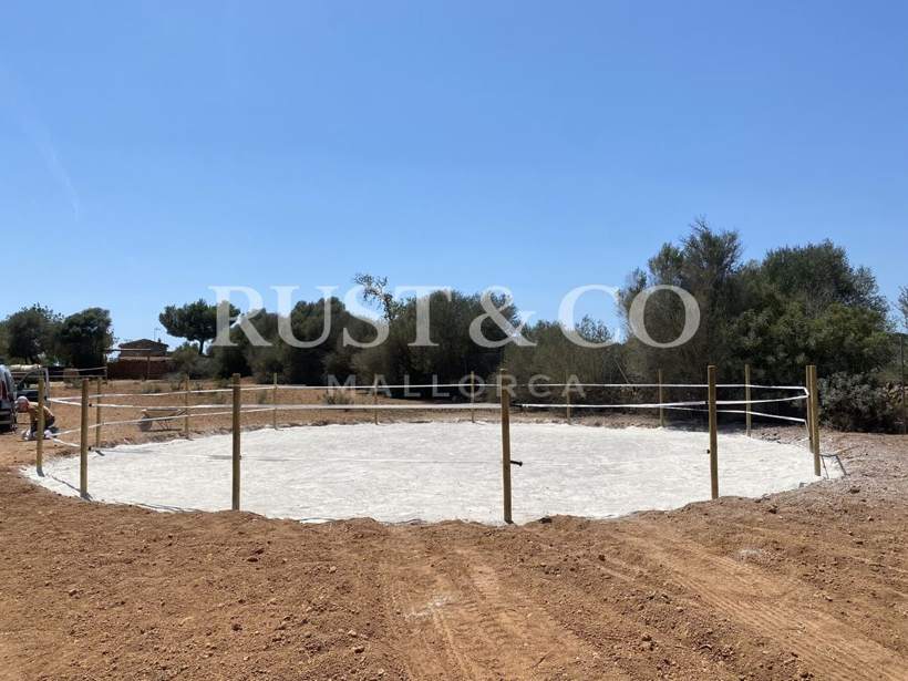 Cuadras y boxes para caballos en Mallorca – trabajo de RUST & CO