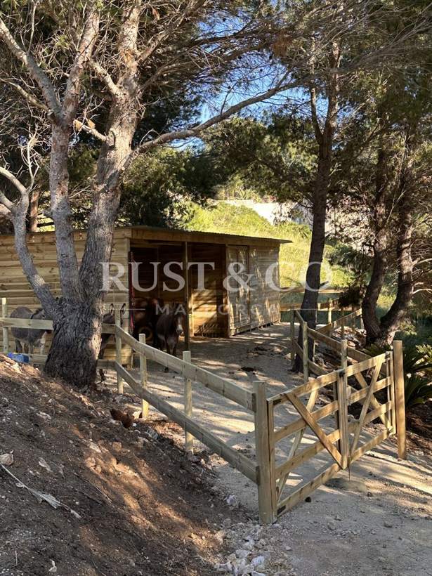 Cuadras y boxes para caballos en Mallorca – trabajo de RUST & CO