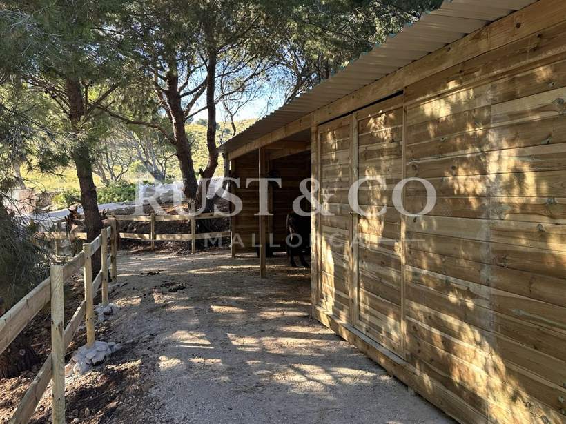 Cuadras y boxes para caballos en Mallorca – trabajo de RUST & CO
