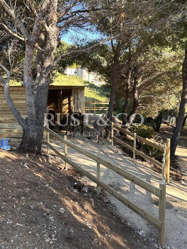 Cuadras y boxes para caballos en Mallorca – trabajo de RUST & CO