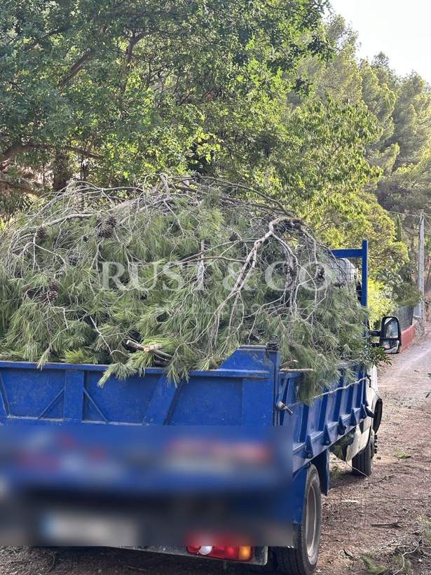 Limpieza y mantenimiento de fincas en Mallorca – trabajo de RUST & CO