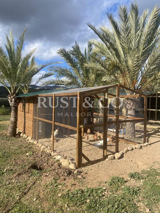 Gallineros de madera a medida en Mallorca – trabajo de RUST & CO