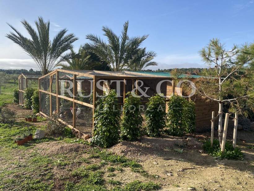 Gallineros de madera a medida en Mallorca – trabajo de RUST & CO