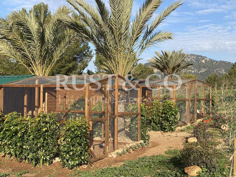 Gallineros de madera a medida en Mallorca – trabajo de RUST & CO