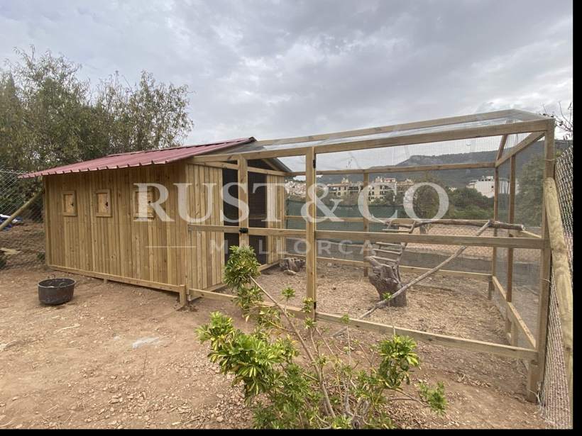 Gallineros de madera a medida en Mallorca – trabajo de RUST & CO