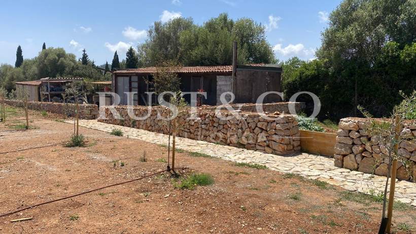 Dry-stone walls (marges) in Mallorca: heritage, maintenance and grants – RUST & CO
