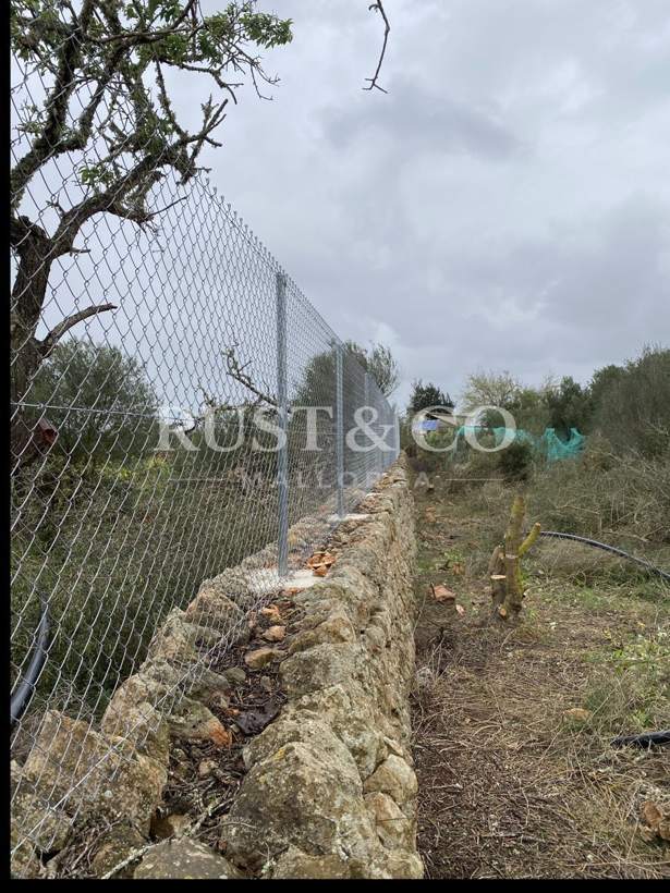 Muros y pilares de piedra en Mallorca – trabajo de RUST & CO