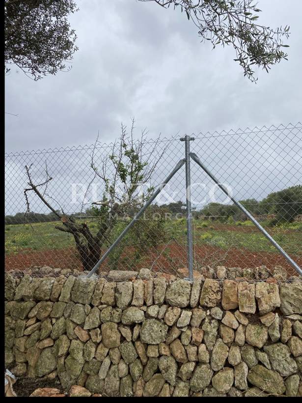 Muros y pilares de piedra en Mallorca – trabajo de RUST & CO