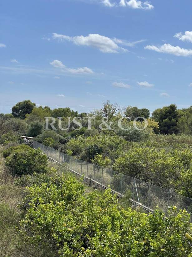 Vallados y cercados de fincas en Mallorca – trabajo de RUST & CO