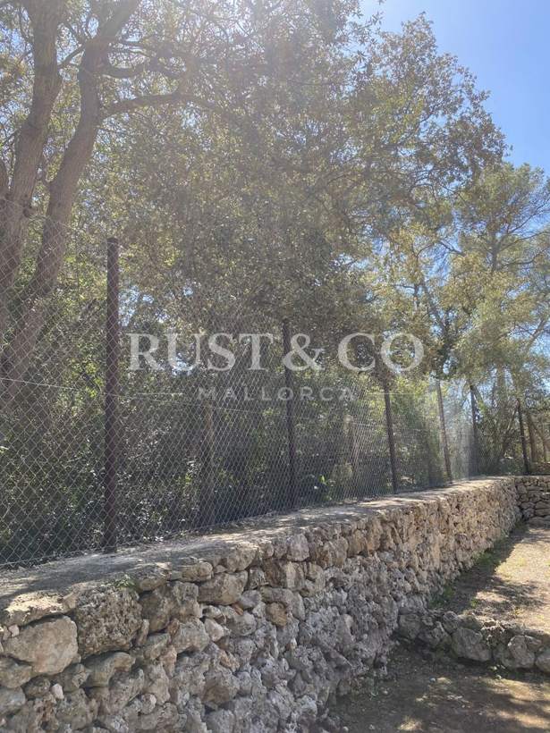 Vallados y cercados de fincas en Mallorca – trabajo de RUST & CO