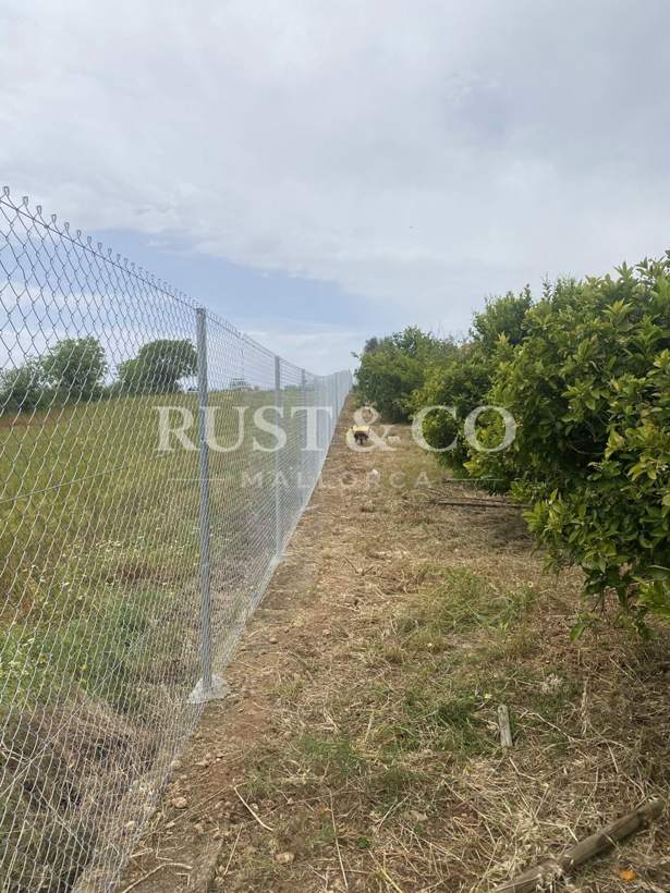 Vallados y cercados de fincas en Mallorca – trabajo de RUST & CO