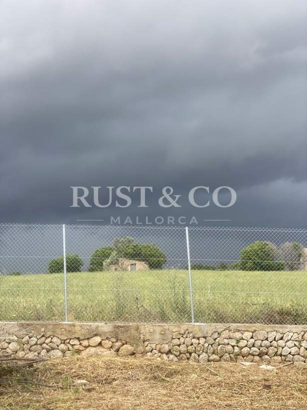 Vallados y cercados de fincas en Mallorca – trabajo de RUST & CO