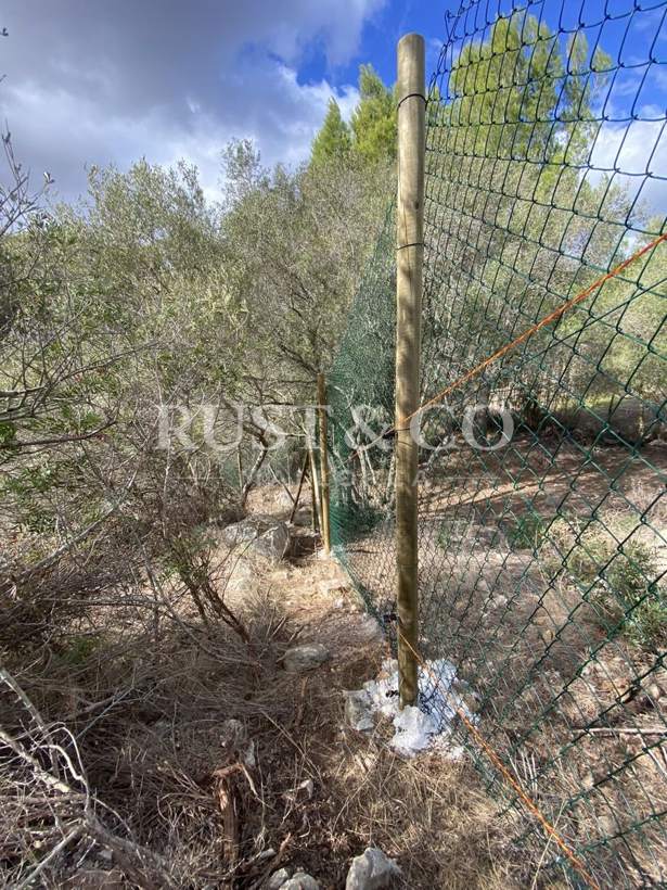 Vallados y cercados de fincas en Mallorca – trabajo de RUST & CO